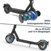 E9MAX E-Scooter Mit Strassenzulassung 500W